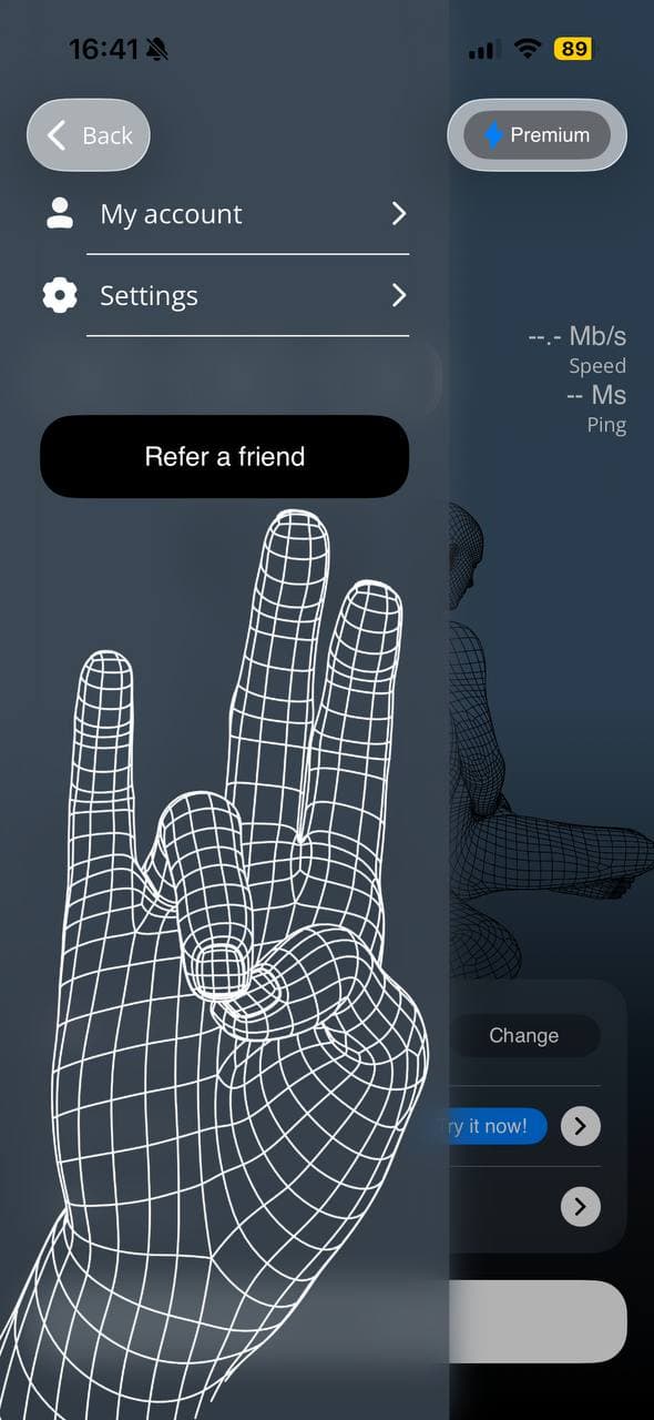 main request screenshot